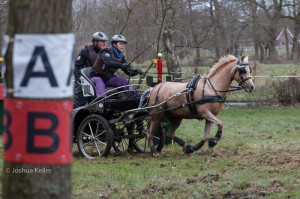 oefenmarathon 2016 MG 9938-9938  